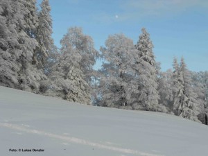 Schneeschuh2