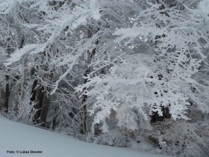 Schneeschuh3